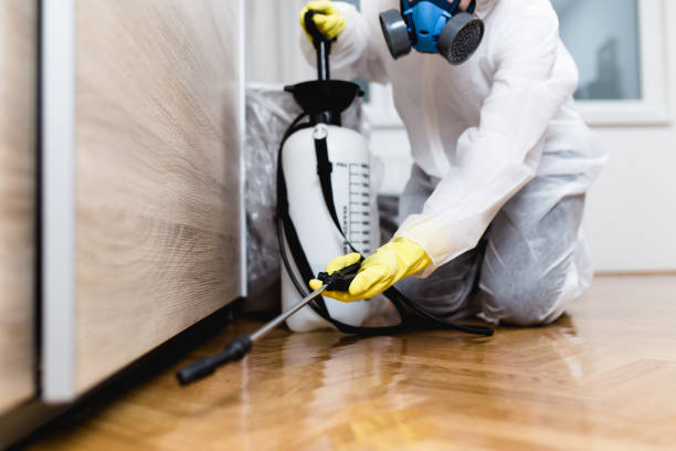 Trusted Spencer, WV Pest Control Experts