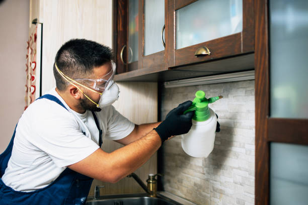 Best Exterminator Services  in Spencer, WV