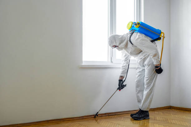 Best Ant Control Services  in Spencer, WV