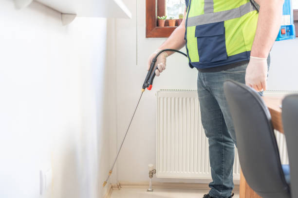 Best Flea Control Services  in Spencer, WV
