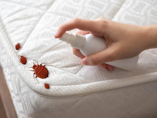 Best Pest Removal Services  in Spencer, WV