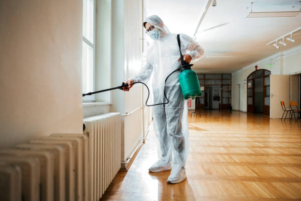 Best Rat Extermination Near Me  in Spencer, WV