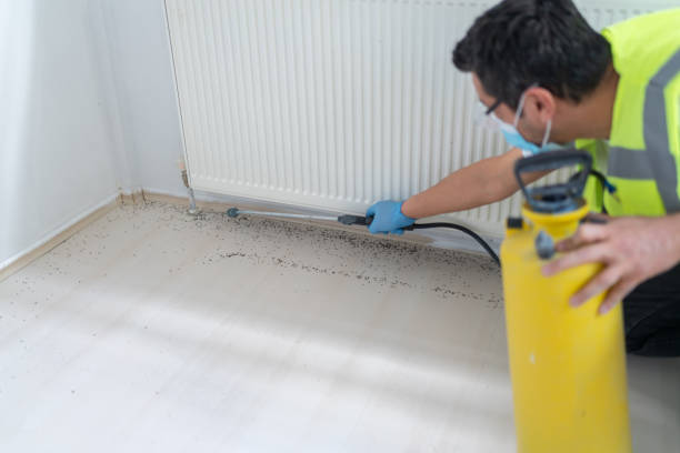 Best Best Pest Control Companies  in Spencer, WV